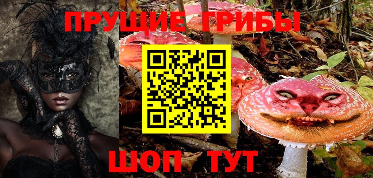 Псилоцибиновые грибы мицелий Аргун