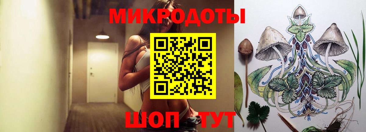 Аргун  Псилоцибиновые грибы Psilocybine cubensis  как найти   Вход с VPN 